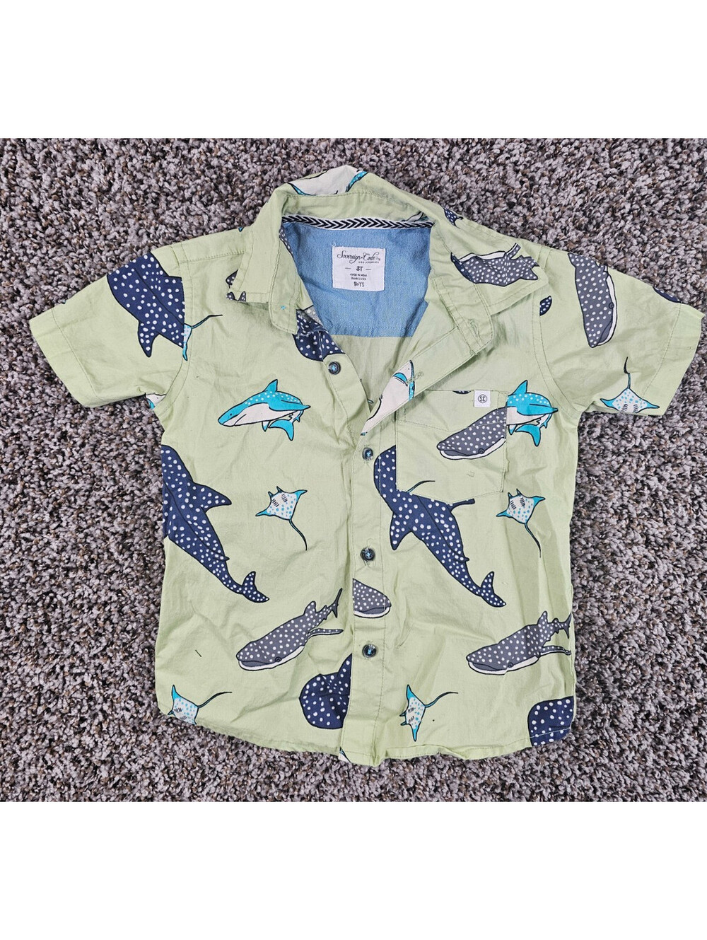 Sovereign Code Toddler Boys Sz 3T Short Sleeve Button Up Shirt Shark Print Green